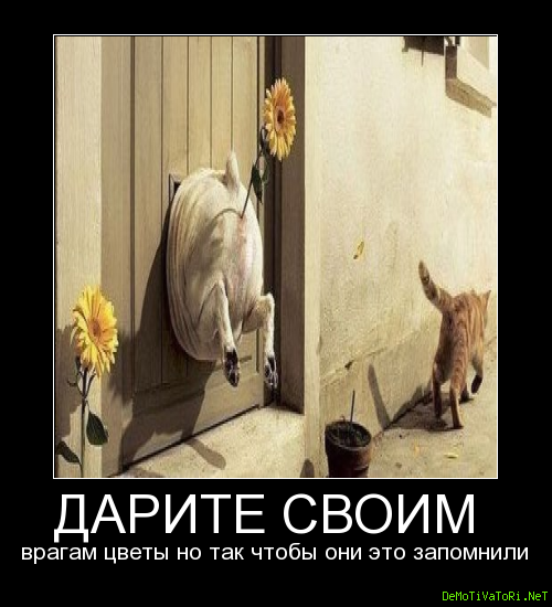 Дарите своим врагам цветы но так чтобы они это запомнили
