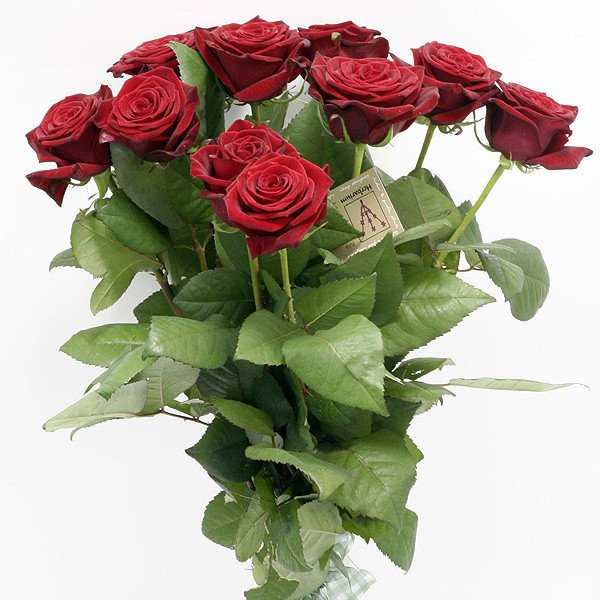 Поздравить розу с днем рождения