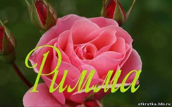 С днём рождения Римма открытки