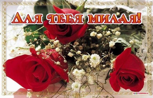 Красивые цветы для Риммы