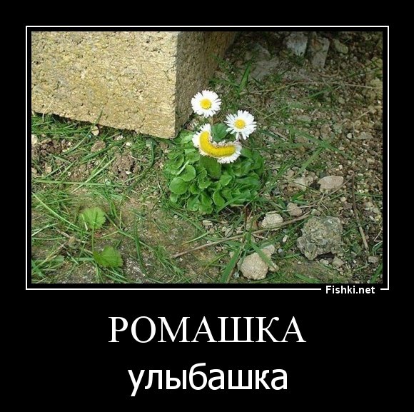 Женщина с цветами прикол