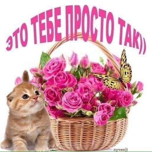 Подарочные открытки просто так