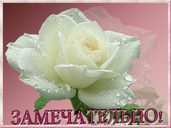 Спасибо Галина