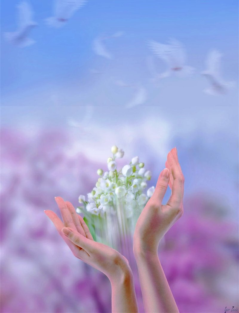 Всем весны в душе любви и счастья. Весенние цветы в руках. Цветы в ладонях. Нежные цветы в руках.