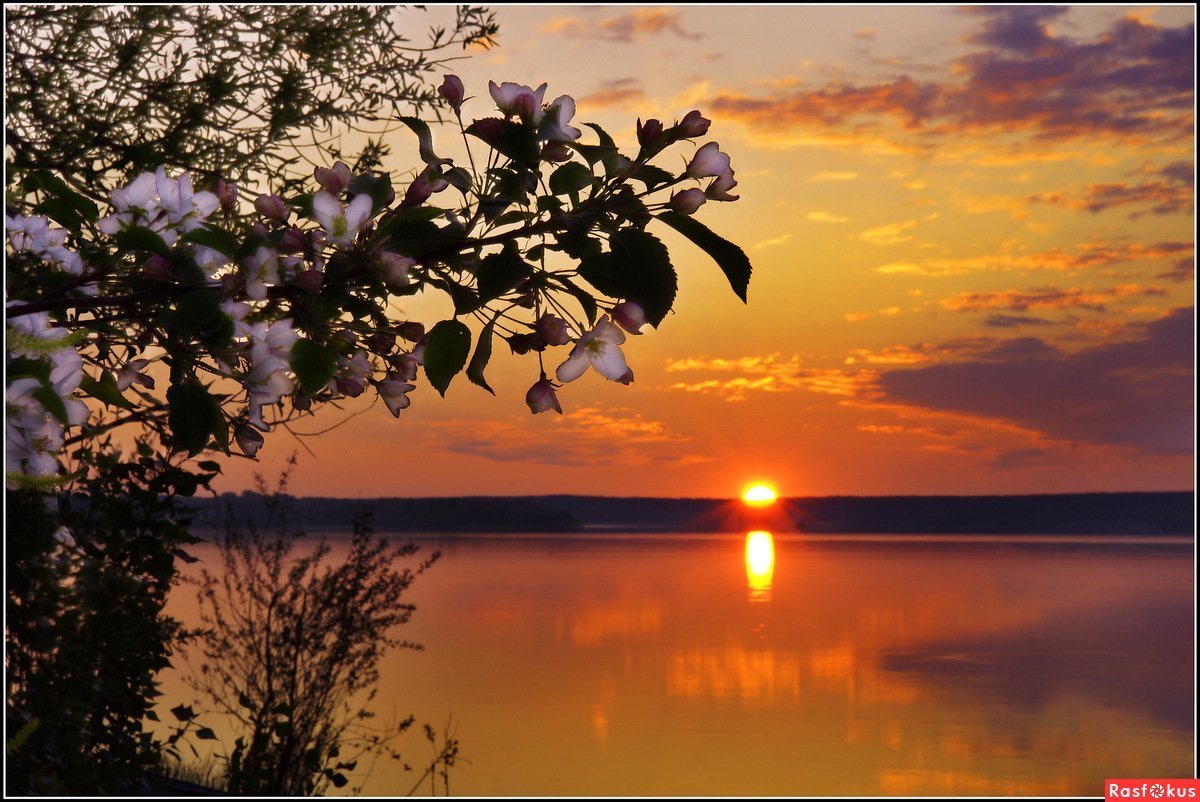 Фото доброго весеннего вечера. Весенний закат. Весенний рассвет. Природа вечер.