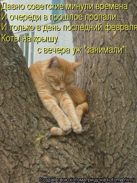 Шутки про снежную весну