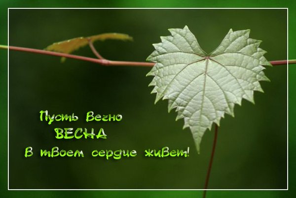Весны в душе стихи