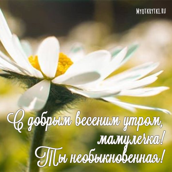 Поздравление с добрым утром маме