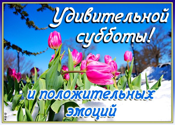 Отличного воскресенья Весна