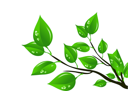 Весна почки распускаются