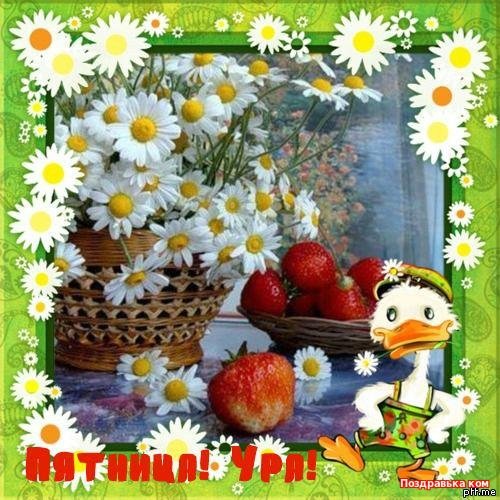 Открытки с добрым утром пятницы летние