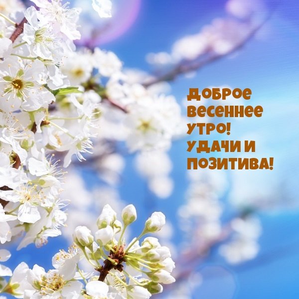 Доброе Весеннее утро
