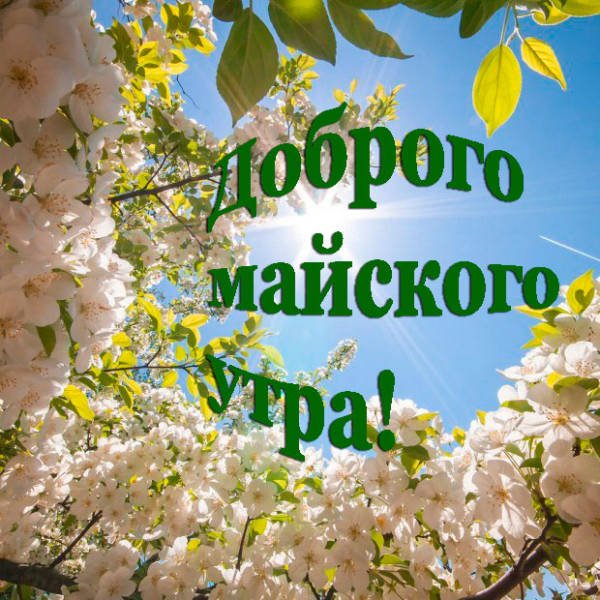 Доброго весеннего дня
