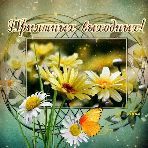 Прекрасных солнечных выходных