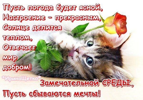 Пожелания с добрым утром среды