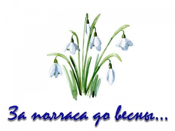 Полчаса до весны