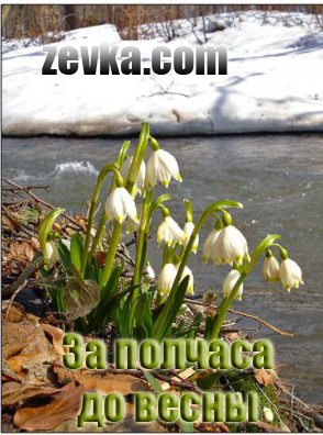 С добрым утром Весна