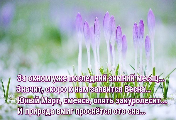 Скоро Весна анимация