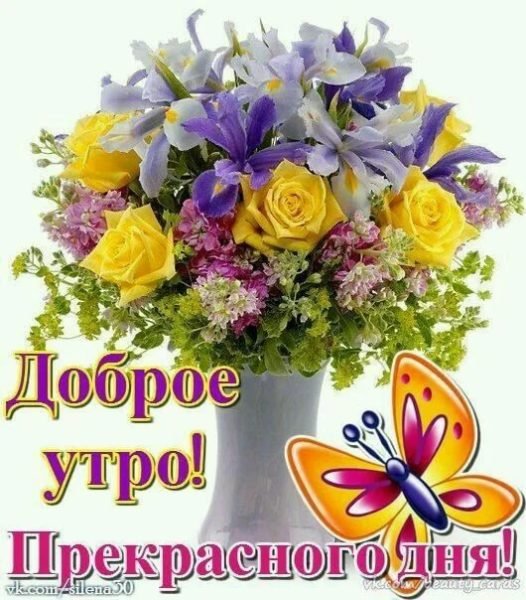 С добрым утром мама