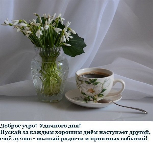 Высказывания с добрым утром
