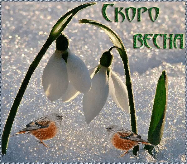 Доброе утро/ весны в ДКГЕ