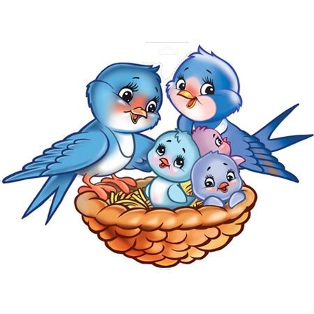 Забавные птицы вектор