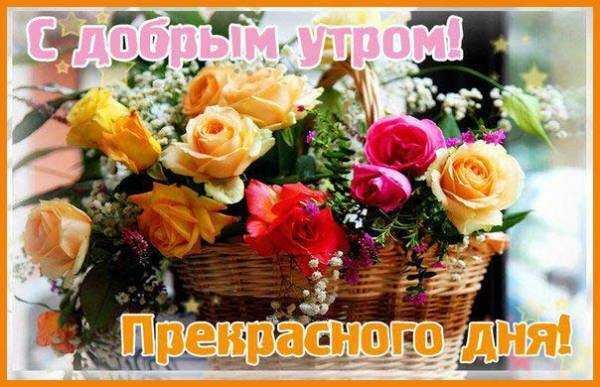 Удачного четверга и хорошего настроения весеннего