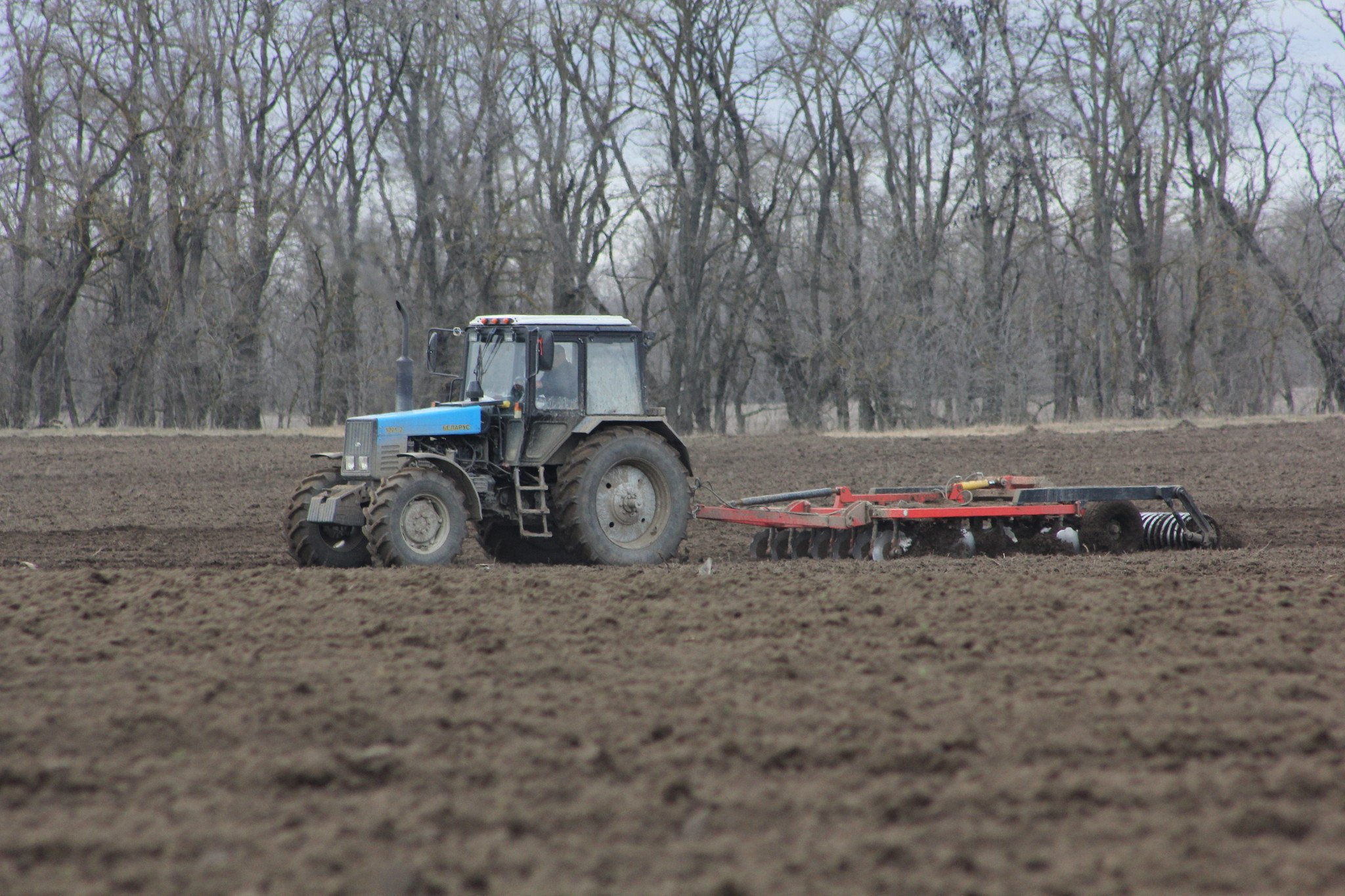 МТЗ 82 пахота. Трактор пашет поле. Весенние работы на тракторе. Трактор в поле весной. Когда пахать землю весной
