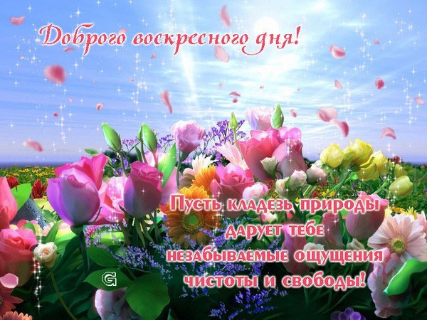 Подснежники в январе