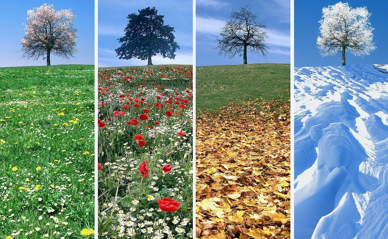 Пейзаж в Разное время года. Времена года картинки. Пейзаж по временам года. Seasons are beautiful