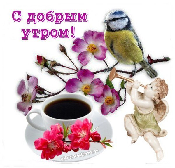 Доброе Весеннее утро прикольные