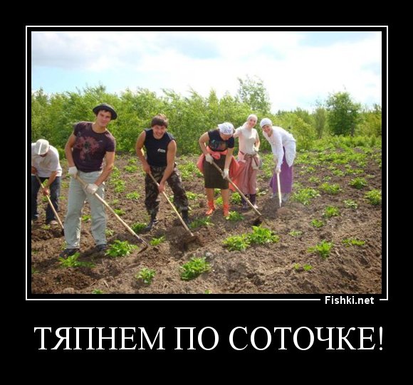 Приколы про посадку картошки