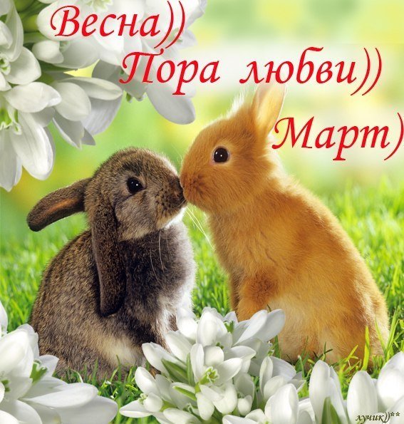 Открытки с добрым утром Зайка