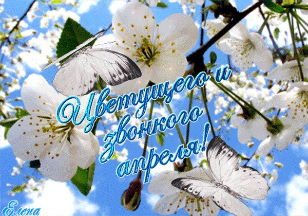 Природа оживает весной