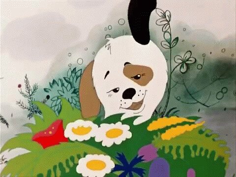 Зайчик утром