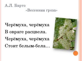 Вербное воскресенье стихи