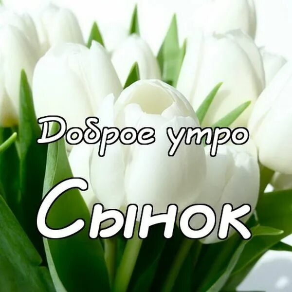 С недобрым утром вторника