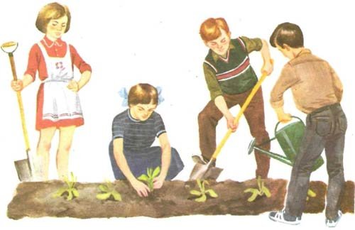 Сюжетные картинки