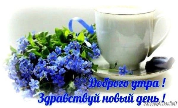 Красивые пожелания с добрым утром и хорошего дня