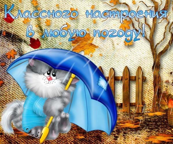 Открытки с дождливым осенним днем