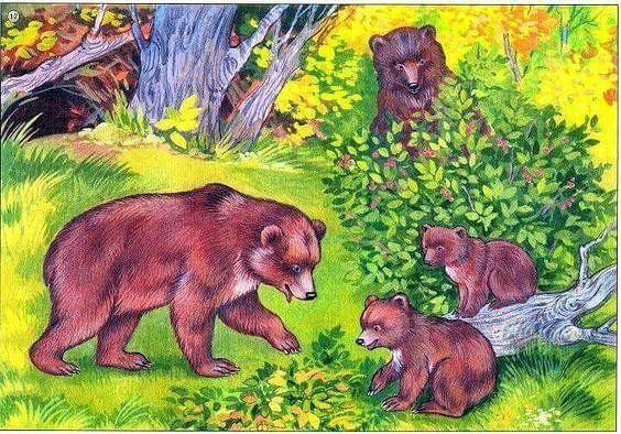 Волк, волчица,семья Волков