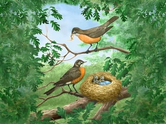 Гнездо для птиц.