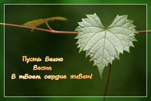 Открытки весны в душе