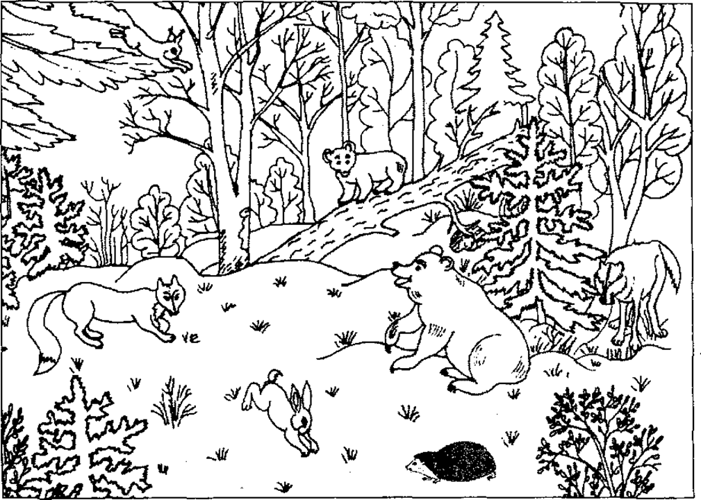 Раскраска зимний лес, животные, птицы, снежинки