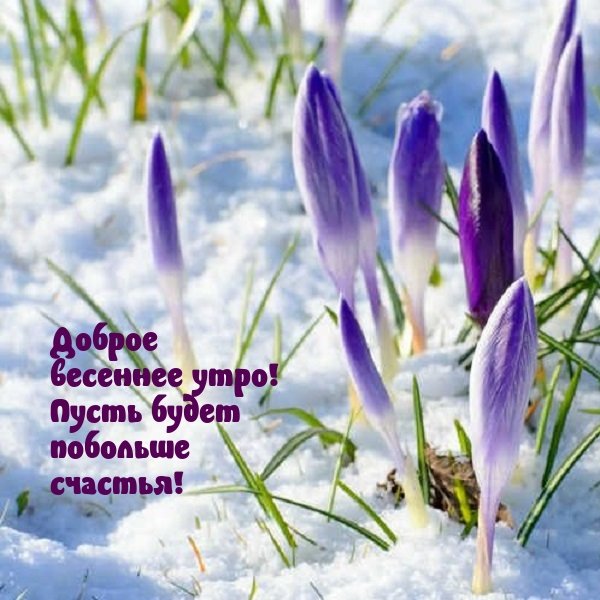 Доброе Весеннее утро пятницы