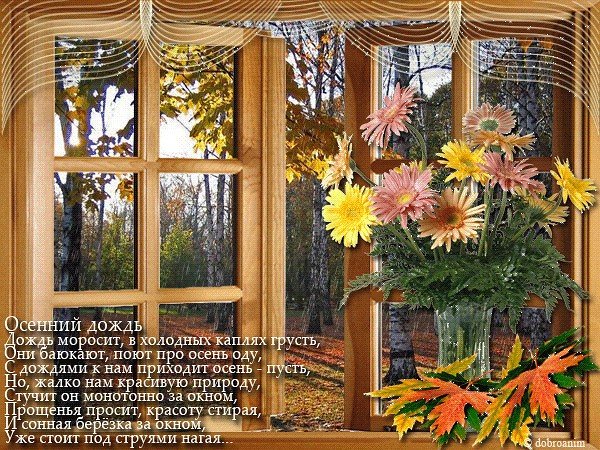 Добрый день в окошко