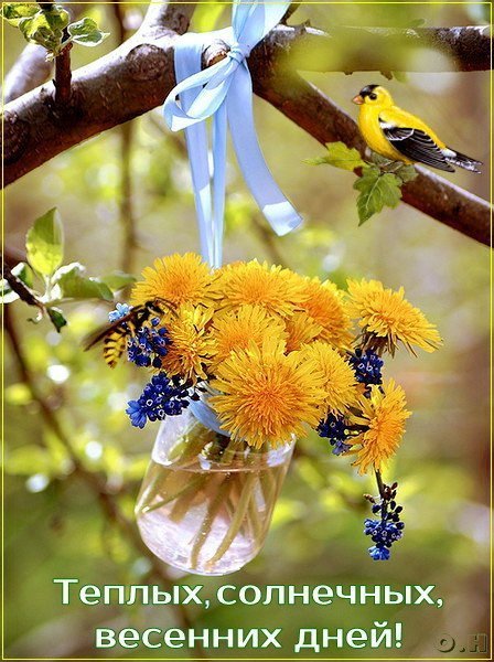 Солнечный весенний день