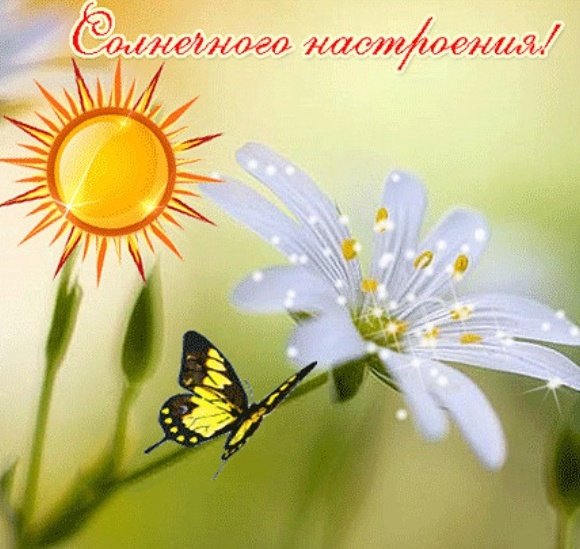 Солнечного настроения
