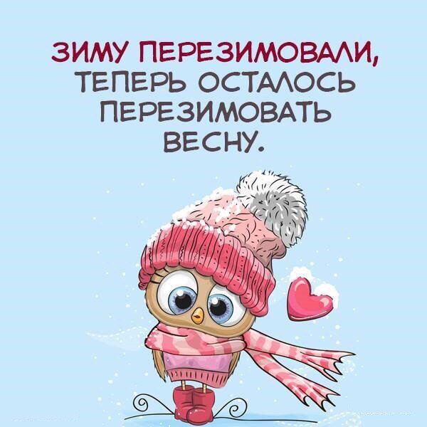 Совы приколы с надписями