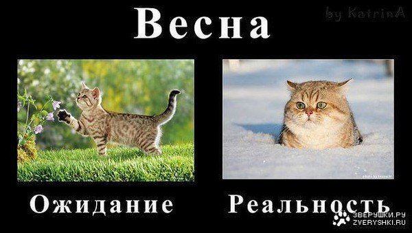 Зима уходи